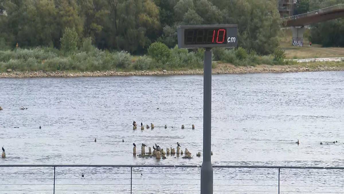Susza w Warszawie. Poziom Wisły rekordowo niski