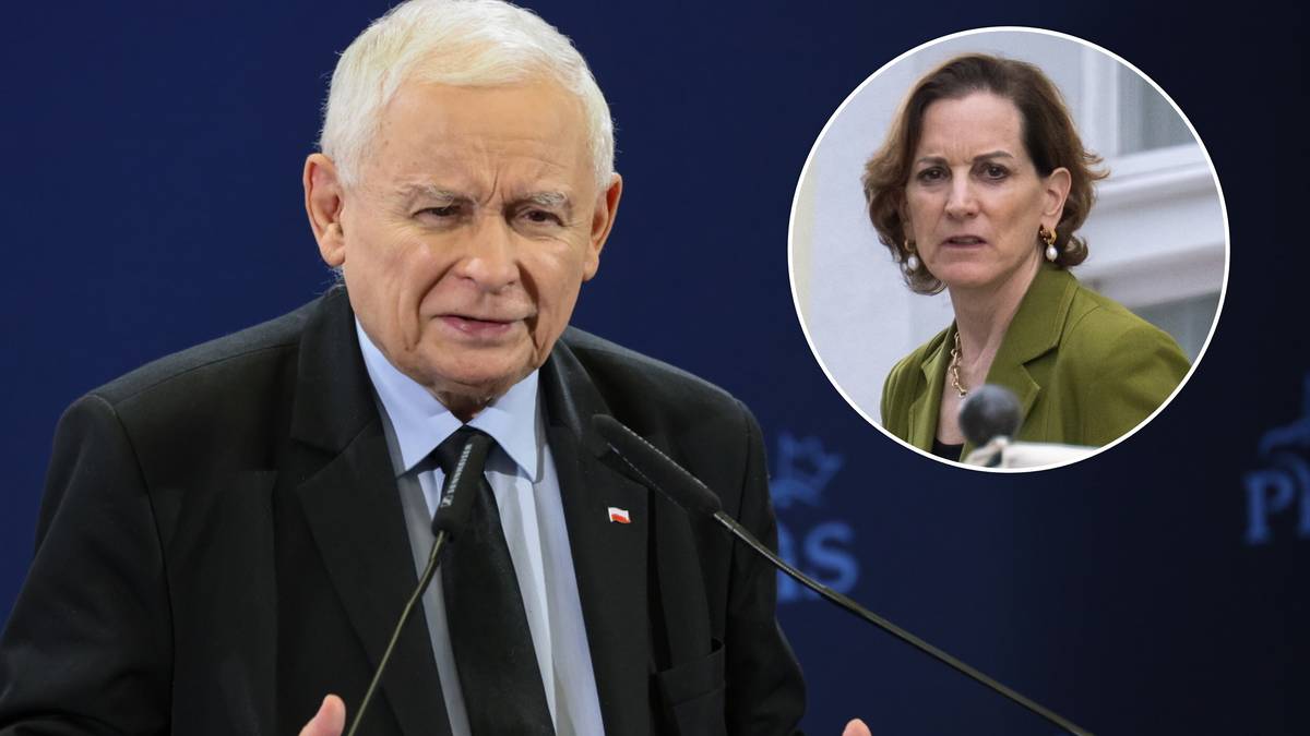 Jarosław Kaczyński o Anne Applebaum: Zrozumieć jej przeszłość „Jest coraz bliżej Brauna”. Burza polityczna po słowach prezesa PiS - INFBusiness