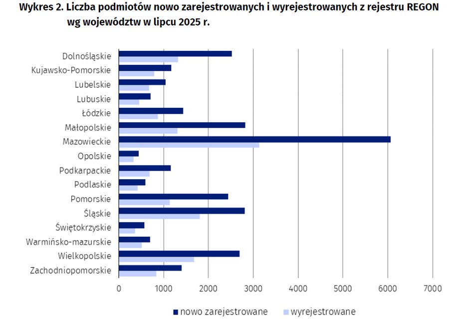 GUS: wzrost liczby nowych firm w lipcu 2025 r. Firmy w czołówce - INFBusiness