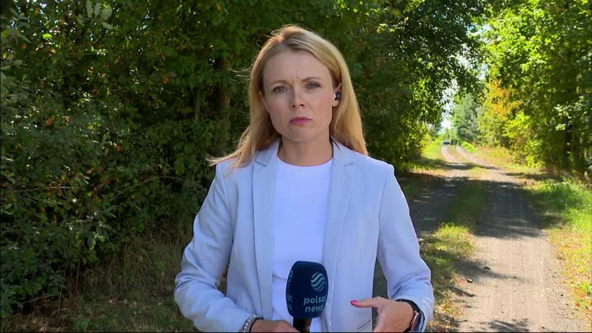 Prezydent o swojej nieobecności na szczycie w Waszyngtonie. „Chcę was wszystkich uspokoić”. - INFBusiness