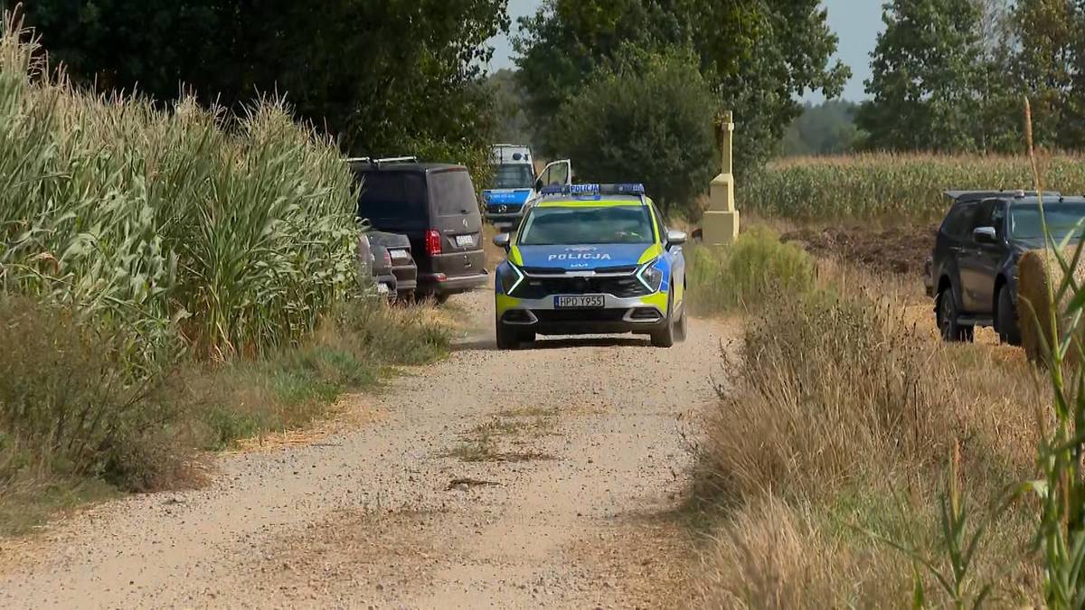 Eksplozja na Lubelszczyźnie. Nieznany obiekt spadł na pole kukurydzy.