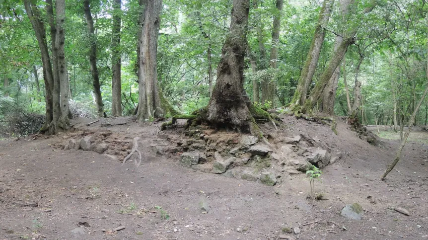 Na terenie Muzeum Pałacu Króla Jana III w Wilanowie odkryto pozostałości nieznanego…