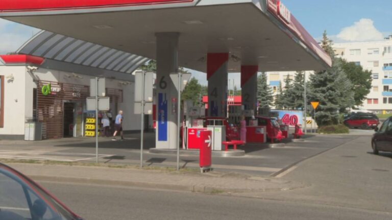 Pijana policjantka z bronią na stacji benzynowej. „Szokujący brak odpowiedzialności” - INFBusiness