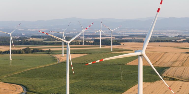 Odnawialne źródła energii: Polacy w badaniu popierają rozwój odnawialnych źródeł energii - INFBusiness