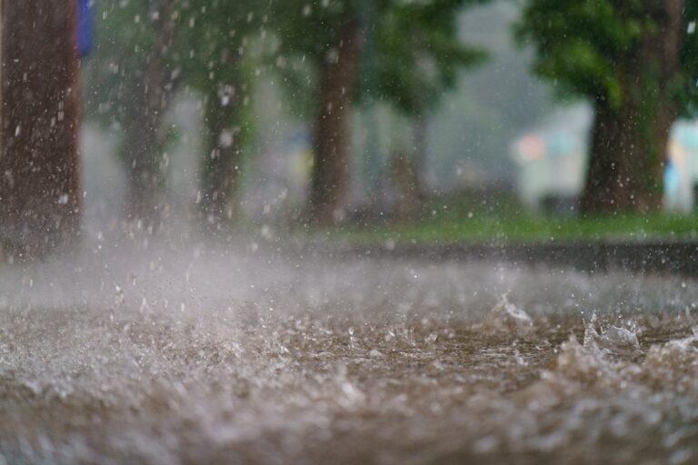 Ministerstwo Spraw Wewnętrznych i Administracji oraz Instytut Meteorologii i Gospodarki Wodnej (IMGW) wydają ostrzeżenia pogodowe. - INFBusiness