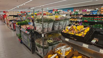 Tak właśnie rozwija się sieć dyskontów. Wkrótce chce mieć 400 sklepów.