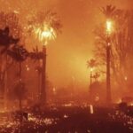 Zdjęcie przedstawia intensywne płomienie trawiące palmy i okoliczną roślinność w Los Angeles. Pożar, który niszczy dzielnice, symbolizuje rozległe zniszczenia, które dotknęły również przemysł modowy, znany z butików i pracowni w dotkniętych obszarach. Płomienie i lecące iskry tworzą dramatyczne tło, odzwierciedlające skalę katastrofy.