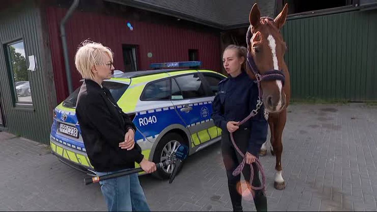 Nagranie policjantki obiegło media. „Potraktowałem to jako interwencję”. - INFBusiness