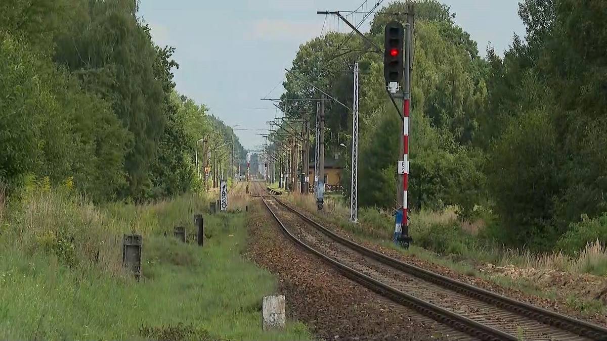 Pojazd zderzył się z pociągiem. Wszyscy pasażerowie zginęli.