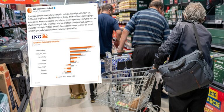 Sprzedaż detaliczna w komentarzach ekonomistów. Co dalej z tym filarem gospodarki? - INFBusiness