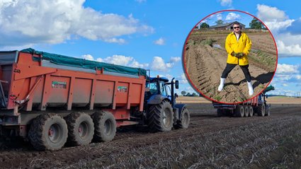 Byłem na wielkim polu ziemniaków. To tam narodziły się frytki McDonald's.