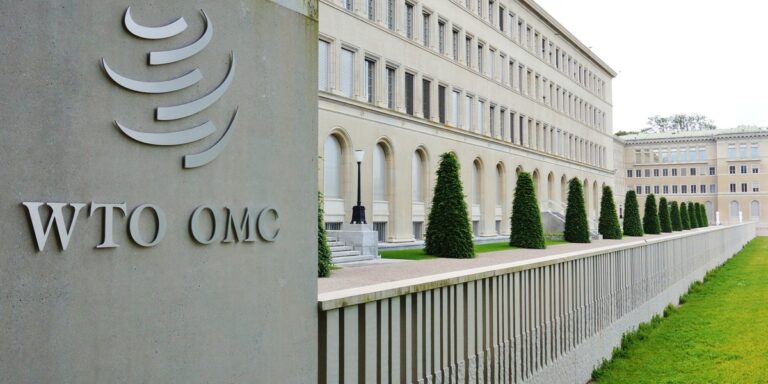 Światowa Organizacja Handlu (WTO) oszacowała korzyści ekonomiczne płynące ze sztucznej inteligencji. Wzrost aż o 37 procent. - INFBusiness
