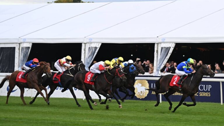 Wielki Wyścig Warszawski rozstrzygnięty. Debiutant triumfuje w Wyścigu na Służewcu. - INFBusiness