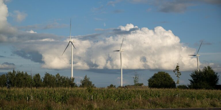NIK krytykuje rząd za farmy wiatrowe. Czy tania energia elektryczna jest zagrożona? - INFBusiness