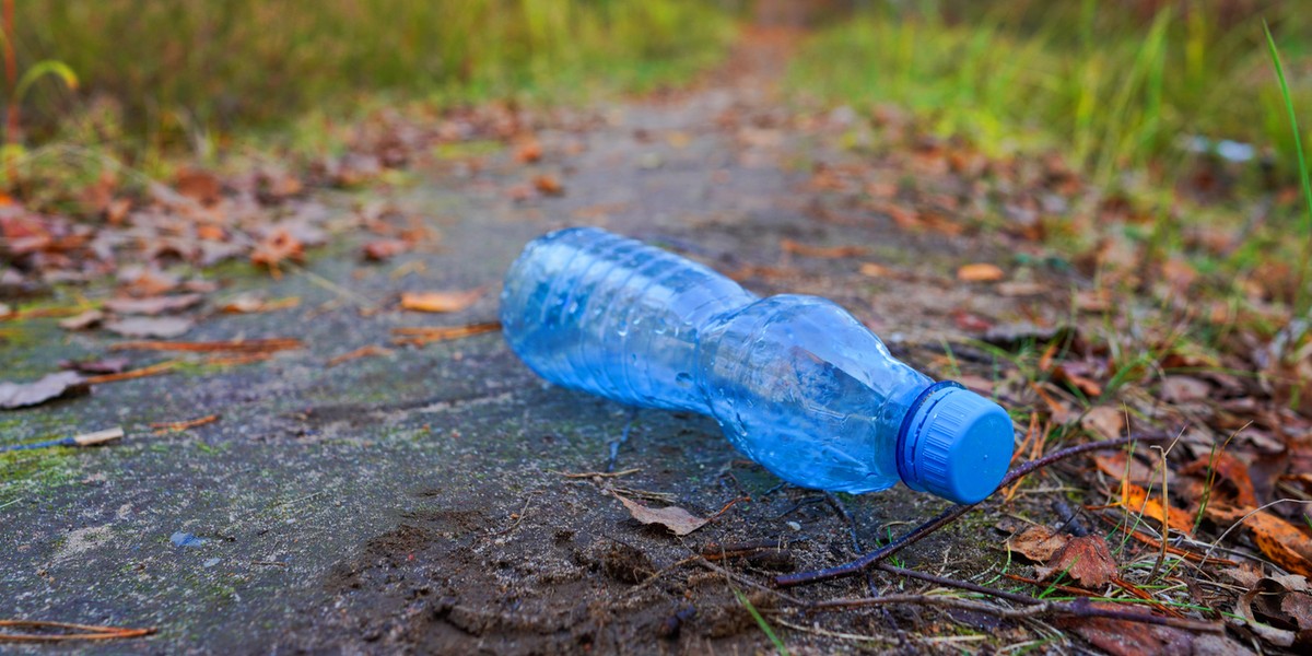 Plastikowa butelka wyrzucona do lasu