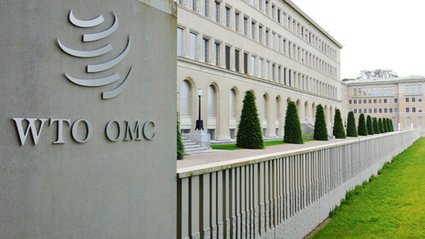 Eksperci WTO obliczyli korzyści ekonomiczne płynące ze sztucznej inteligencji. Wzrost o prawie 40 procent.