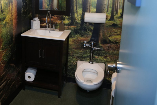 Female veterans suffering from urinary incontinence received effective relief using a smartphone app called MyHealtheBladder, researchers said in a new study. File Photo by John Angelillo/UPI