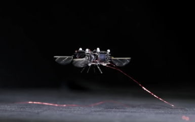 Inżynierowie opracowują miniaturowego robota-trzmiela do kolonizacji Marsa