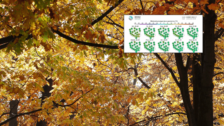 Pogoda zaczyna się poprawiać na jesień. Nadchodzą pierwsze przymrozki. Jesienna pogoda coraz bliżej. Temperatury spadną i pojawią się przymrozki. - INFBusiness
