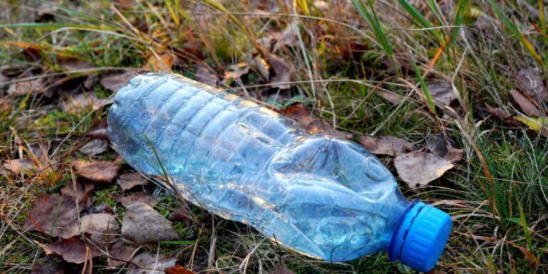 Czy plastikowe butelki są ekologiczne? Fundacja wnosi pozew przeciwko korporacji - INFBusiness