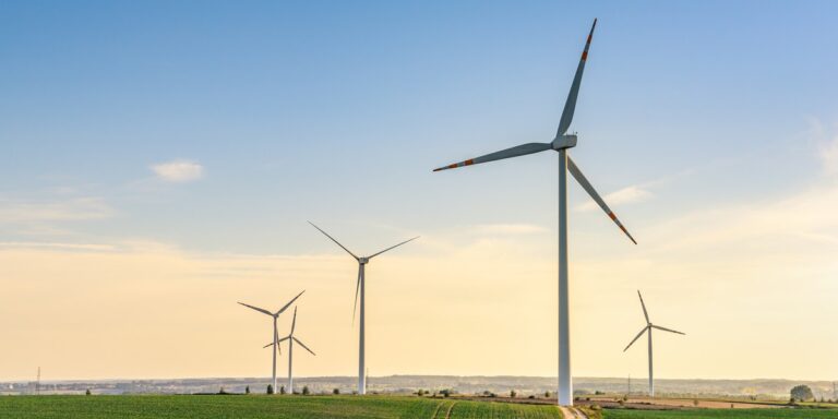 Ośrodek Transformacji Ekologicznej: przeciwdziałanie dezinformacji o turbinach wiatrowych w Polsce - INFBusiness