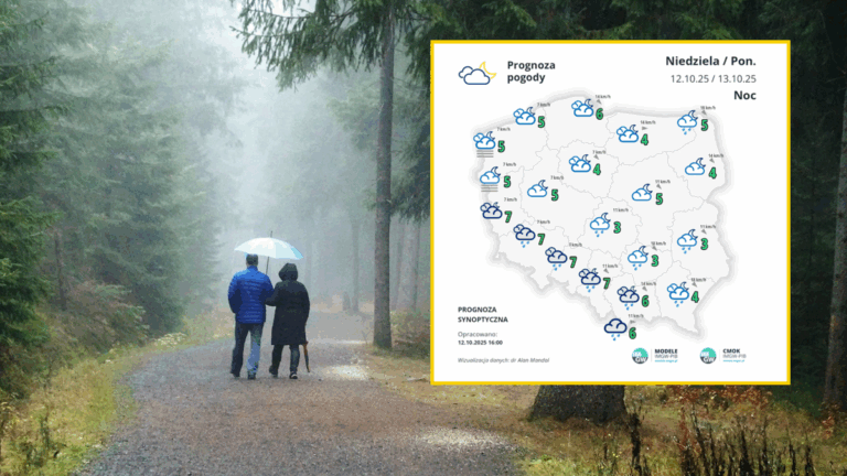 Najbliższe dni: ochłodzenie. Czeka nas wpływ zimnego powietrza. - INFBusiness