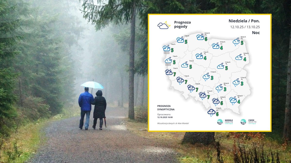 Nadchodzą chłodne, wręcz klasyczne jesienne dni z przeważającą ilością obłoków, opadami deszczu i gęstymi mgłami. W czasie nocy z niedzieli na poniedziałek nastąpi ochłodzenie, lokalnie z przymrozkami oraz śniegiem w Tatrach. Początek nowego tygodnia zapowiada się spokojniejszy, mimo wszystko chłodny i w niektórych miejscach deszczowy. Prognoza na najbliższe dni. Pogodę zdominuje chłodny front