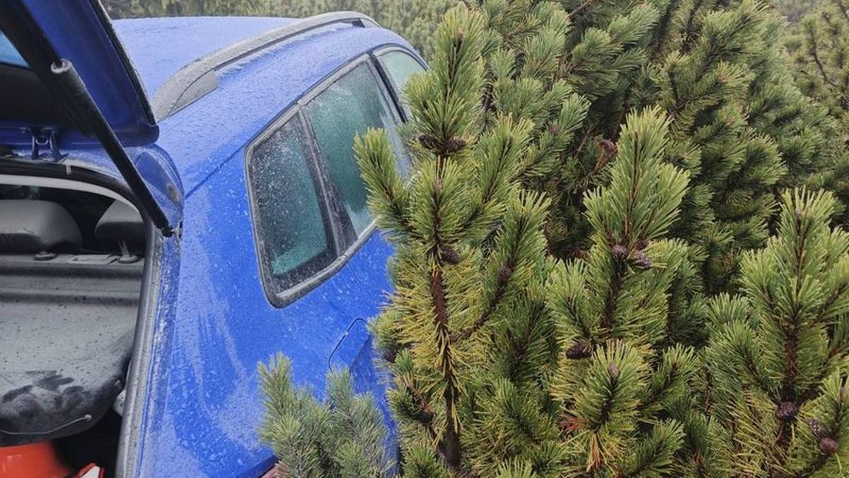 Zrabowana Skoda Karoq została znaleziona przez funkcjonariuszy dolnośląskiej policji w pobliżu uczęszczanej przez wczasowiczów trasy wiodącej na Śnieżkę. Samochód był schowany na znacznej wysokości pośród zarośli kosodrzewiny. Jego wartość wyceniono na 170 tys. złotych. Policjanci odnaleźli skradziony w Czechach samochód w górskim terenie