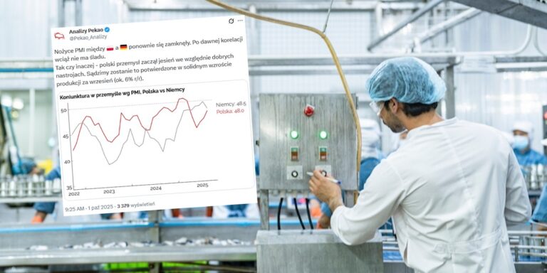 PMI dla sektora wytwórczego: „Nożyce między Polską a Niemcami znów się zacisnęły” - INFBusiness