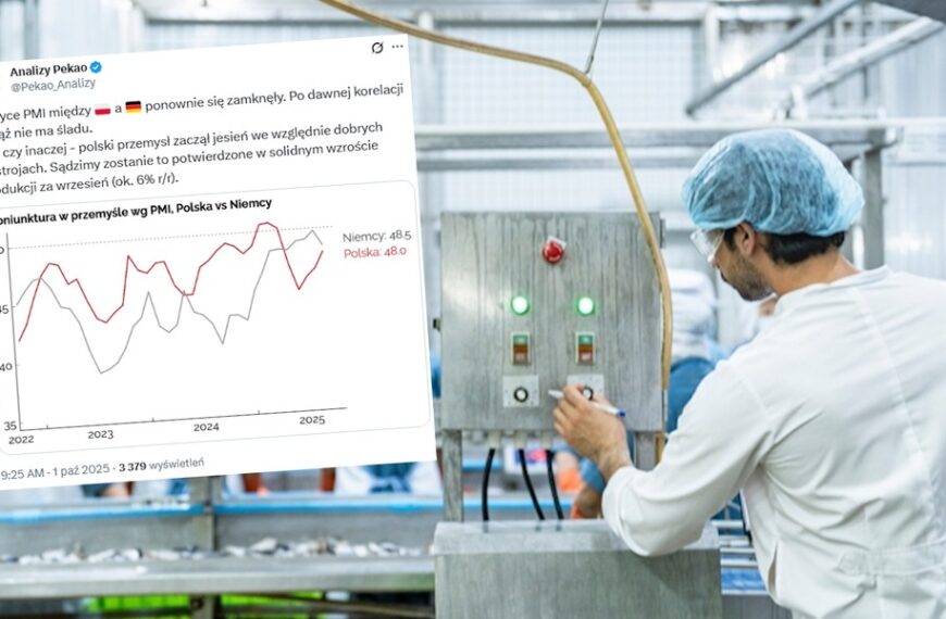 PMI dla sektora wytwórczego: „Nożyce między Polską a Niemcami znów się zacisnęły”