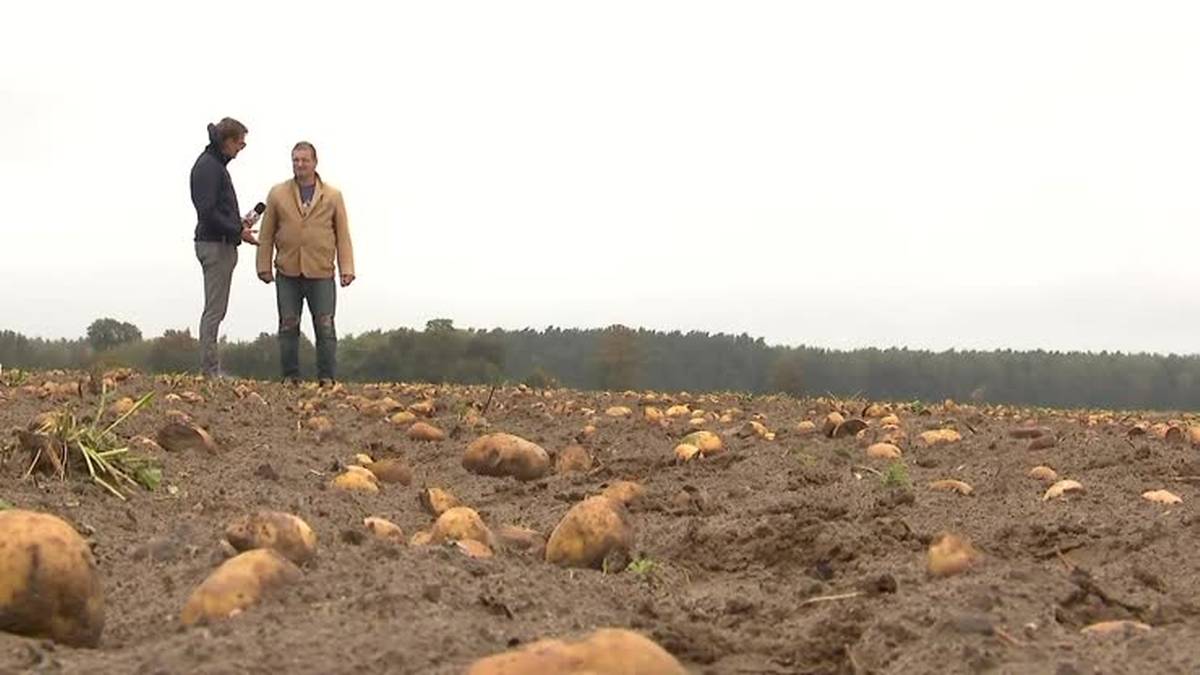 Elbląg: Strzały w trakcie obławy na wojskowego. - INFBusiness