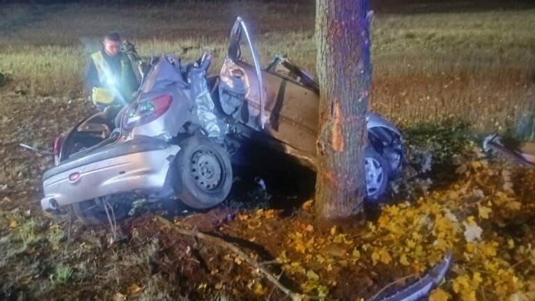 Driver Without License Fled Police, Leading to Tragedy. - INFBusiness