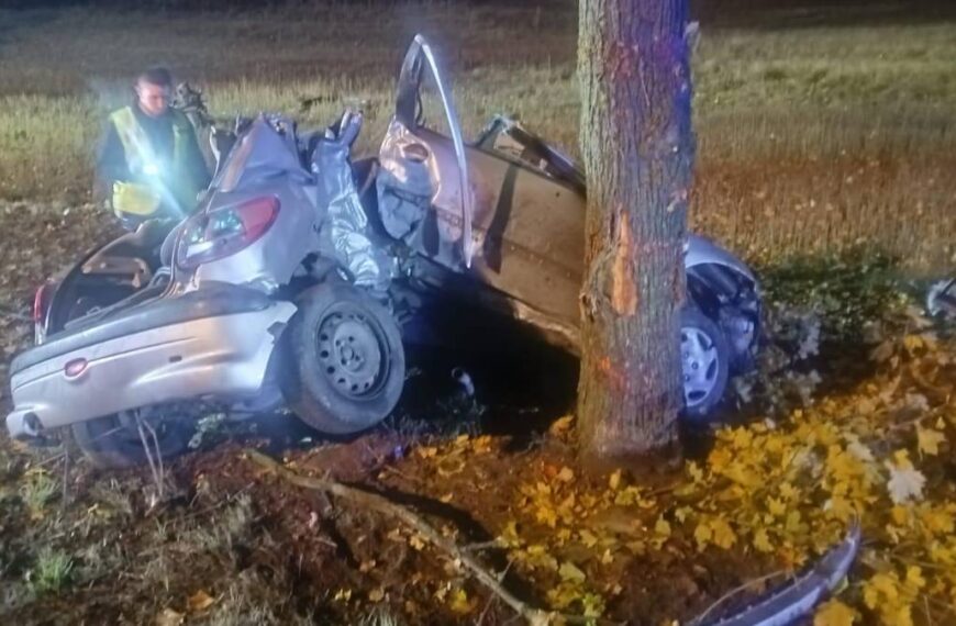 Driver Without License Fled Police, Leading to Tragedy.