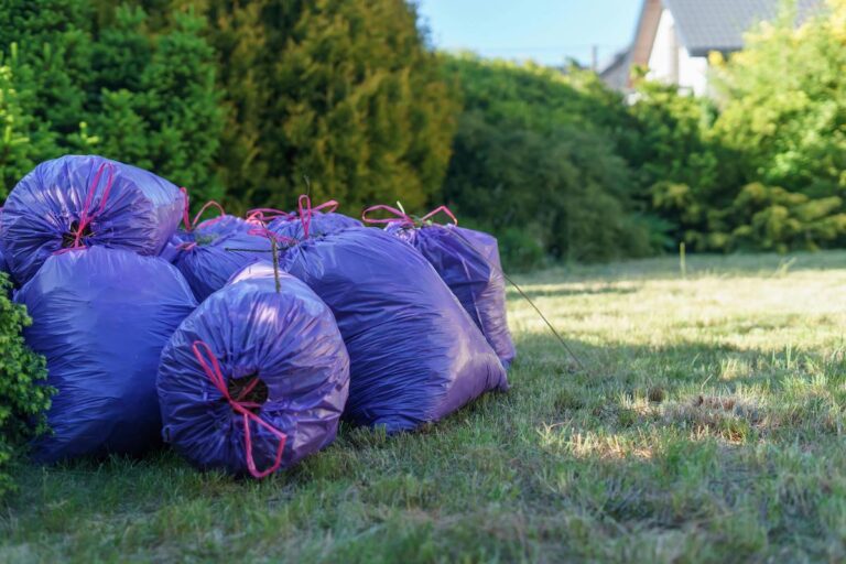 Nowa barwa sortowania odpadów. Purpurowe kontenery na tekstylia od 2026 roku. - INFBusiness