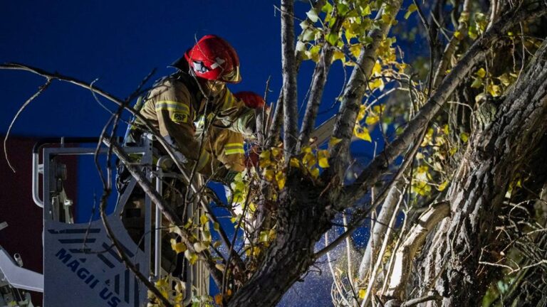 Z powodu niesprzyjających warunków pogodowych strażacy zanotowali na terenie kraju 1548 interwencji - to dane na godzinę 20. - Najliczniej - 294 - w regionie mazowieckim - oznajmił przedstawiciel prasowy Szefa Głównego Państwowej Straży Pożarnej st. bryg. Karol Kierzkowski. W Koszalinie z powodu mocnego wiatru lokalne służby zamknęły cmentarz miejski. IMGW ogłosił alarmy dla czternastu regionów. Intensywne deszcze i wichury w kraju. Blisko tysiąc zgłoszeń, nekropolia miejska niedostępna. - INFBusiness