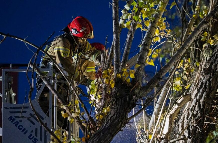 Intensywne deszcze i wichury w kraju. Blisko tysiąc zgłoszeń, nekropolia miejska niedostępna.