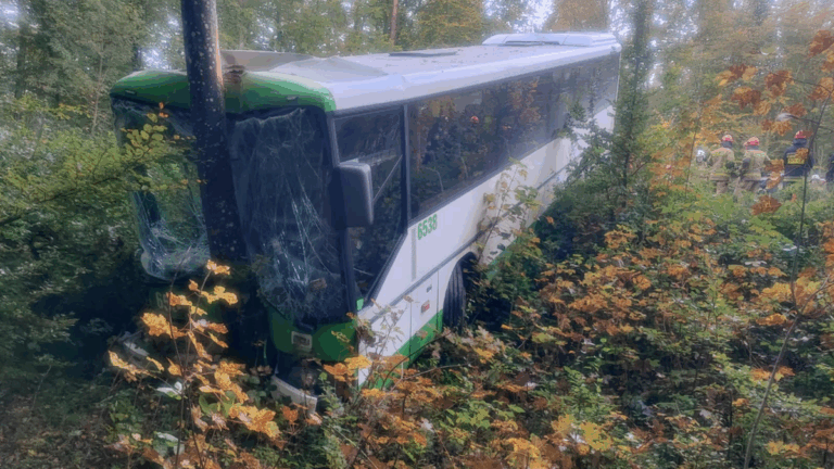 Autobus rozbił się w okolicach Pucka. Sześciu poszkodowanych. - INFBusiness