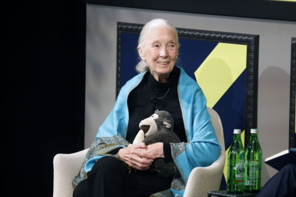 Leonardo DiCaprio oddaje hołd „drogiej przyjaciółce” Jane Goodall