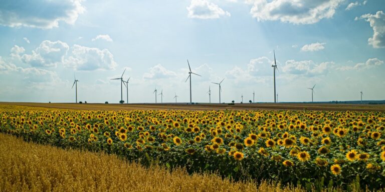 Bejsce: nowa elektrownia wiatrowa Enei zaopatrzy 20 tys. gospodarstw domowych rocznie. - INFBusiness