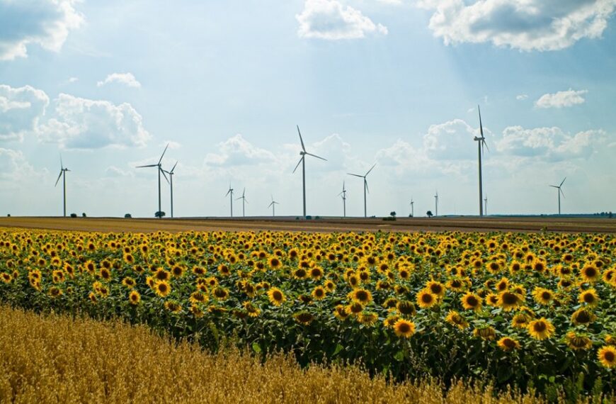 Bejsce: nowa elektrownia wiatrowa Enei zaopatrzy 20 tys. gospodarstw domowych rocznie.
