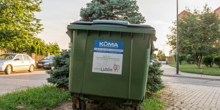 Żywność ląduje na wysypiskach. Raport ujawnia prawdę. - INFBusiness
