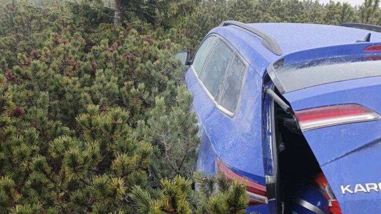 Zrabowana Skoda Karoq została znaleziona przez funkcjonariuszy dolnośląskiej policji w pobliżu uczęszczanej przez wczasowiczów trasy wiodącej na Śnieżkę. Samochód był schowany na znacznej wysokości pośród zarośli kosodrzewiny. Jego wartość wyceniono na 170 tys. złotych. Wysoko w górach znaleziono skradziony samochód. Ukryto go w gęstych zaroślach. - INFBusiness