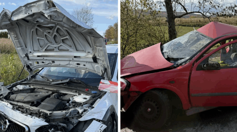 Dwóch mężczyzn w wieku 35 i 29 lat poniosło śmierć w kolizji, która miała miejsce w sobotę na trasie wojewódzkiej o numerze 751 w miejscowości Wzdół Kolonia (województwo świętokrzyskie). Z wczesnych szacunków wynika, że pierwszy z nich z nieznanych powodów utracił kontrolę nad autem. Śmiertelny karambol w regionie świętokrzyskim. Dwie ofiary. - INFBusiness