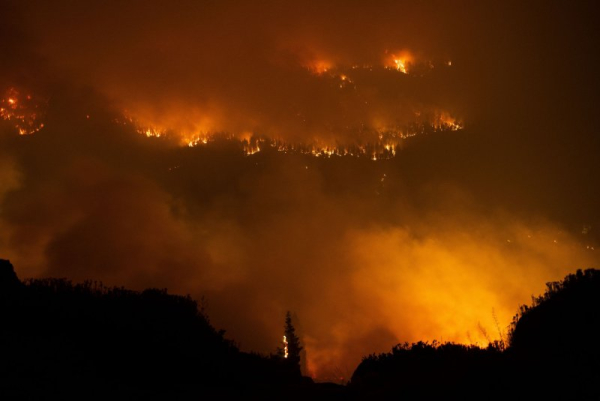 Wdychanie dymu z pożarów lasów wiąże się z przedwczesnymi porodami