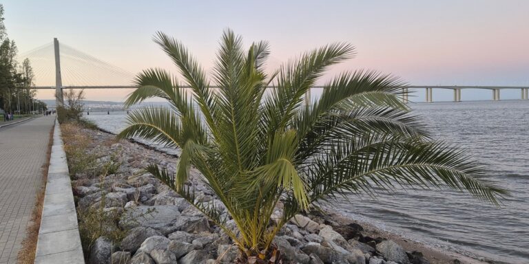 Polskie plany podróżnicze na 2026: Celują w komfort. - INFBusiness