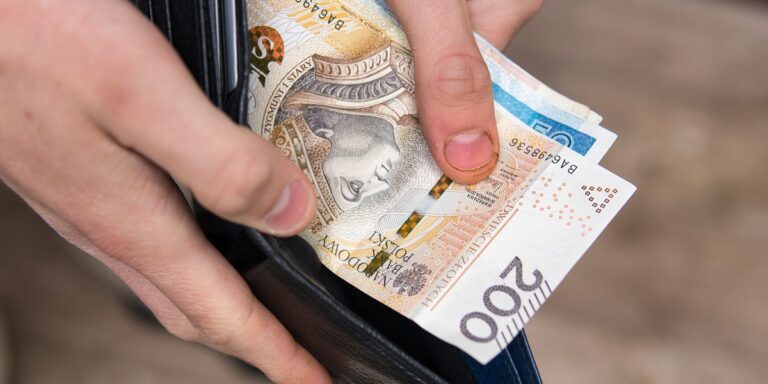 W roku 2024, przeciętne wynagrodzenie roczne, uwzględniające pełny wymiar pracy, osiągnęło w krajach członkowskich Unii Europejskiej poziom 39,8 tys. euro brutto, co stanowi progres o 5,2 proc. w odniesieniu do 37,8 tys. euro odnotowanych w roku 2023 – zawiadomił w środę Eurostat. Polska plasuje się niezbyt korzystnie w porównaniu nie tylko z najzamożniejszymi krajami, ale i ze średnią unijną. Unijne zarobki według Eurostatu. Polska daleko w tyle. - INFBusiness