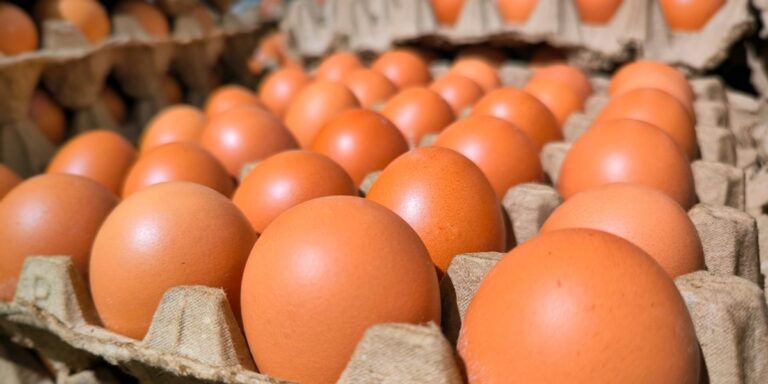 Jajka drożeją w Polsce. Resort uspokaja: dostawy bez zakłóceń. - INFBusiness