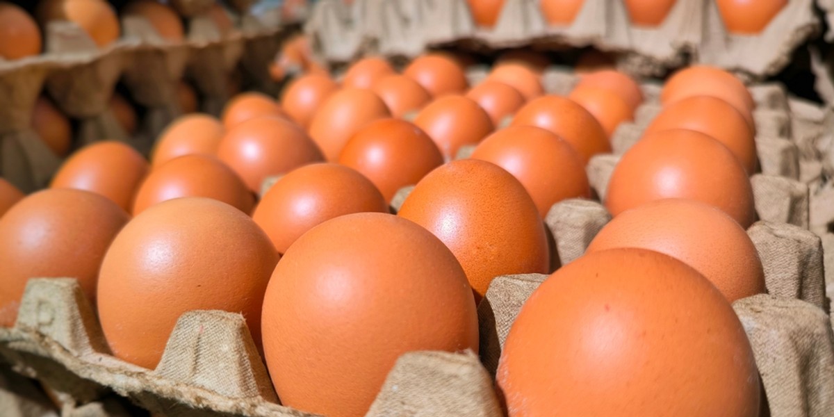 Ceny jaj poszły w górę. Jednak nie powinno ich zabraknąć - uspokajają producenci i rząd.
