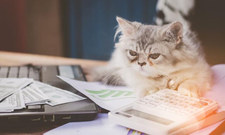 Miniony tydzień października był obfity w zmiany na parkietach finansowych. Amerykańska Rezerwa Federalna obniżyła koszt pieniądza i zasygnalizowała wstrzymanie kurczenia się bilansu, Europejski Bank Centralny nie zmienił kursu polityki, a polska waluta cechowała się niezwykłą siłą. W naszym kraju inflacja zeszła poniżej 3%, jednakże liczba ogłoszeń upadłości konsumenckich ustanowiła nowy rekord. Orlen z rekordową wartością, inflacja poniżej 3% i niemieckie 0%. Tygodniowy przegląd w liczbach. - INFBusiness