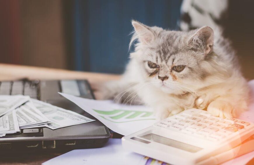 Orlen z rekordową wartością, inflacja poniżej 3% i niemieckie 0%. Tygodniowy przegląd…